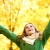 Have you labeled your ADHD?
